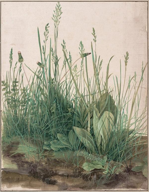 "The Great Piece of Turf," 1503, by Albrecht Dürer. Watercolor and gouache on paper, mounted on cardboard, 16 inches by 12 3/8 inches. Albertina Museum, Vienna. (Public Domain)