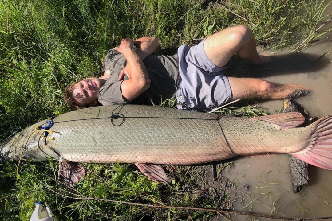 VIDEO: Texas Man Catches Record-Breaking 207-Pound Alligator Gar While on Fishing Trip With His Dad
