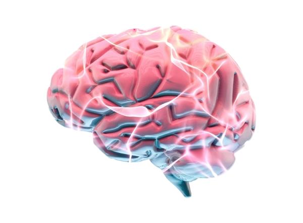 Alzheimer's disease leads to nerve cell death and tissue loss throughout the brain. (Naeblys/Shutterstock)