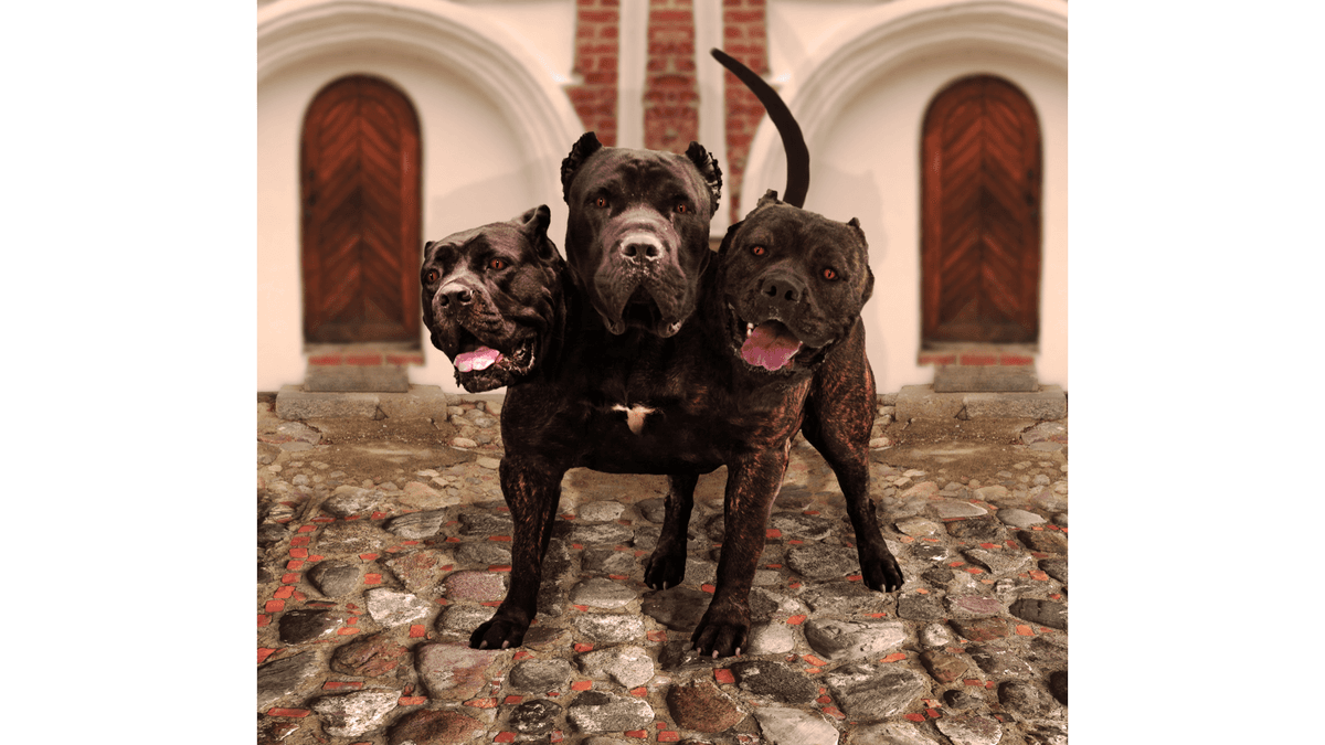 Book Review: ‘Brutal Minds’