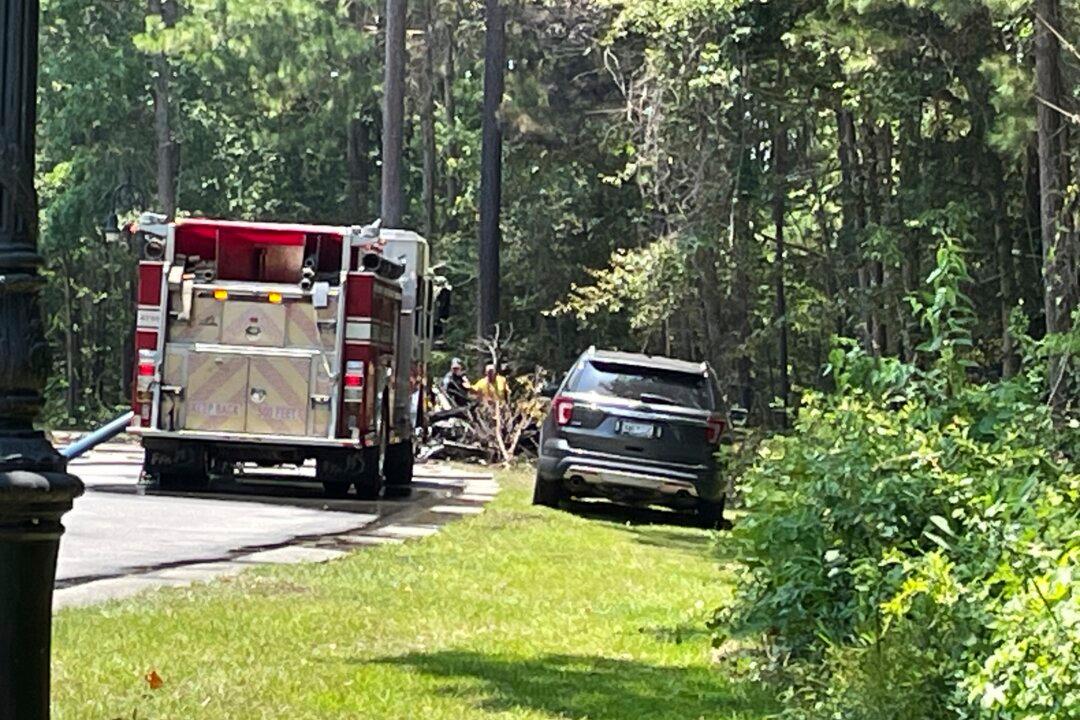 Victims Identified After Fiery Plane Crash in South Carolina Resort Town Killed All 5 People on Board
