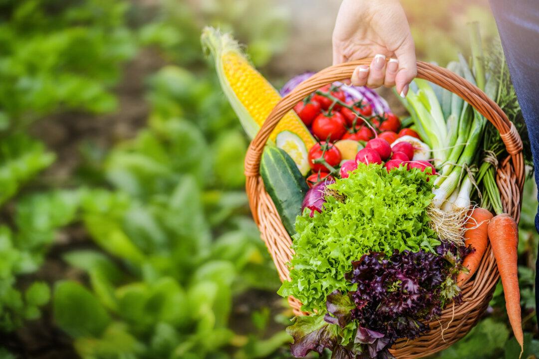 Fruit Fly Forces LA County Under Produce Quarantine
