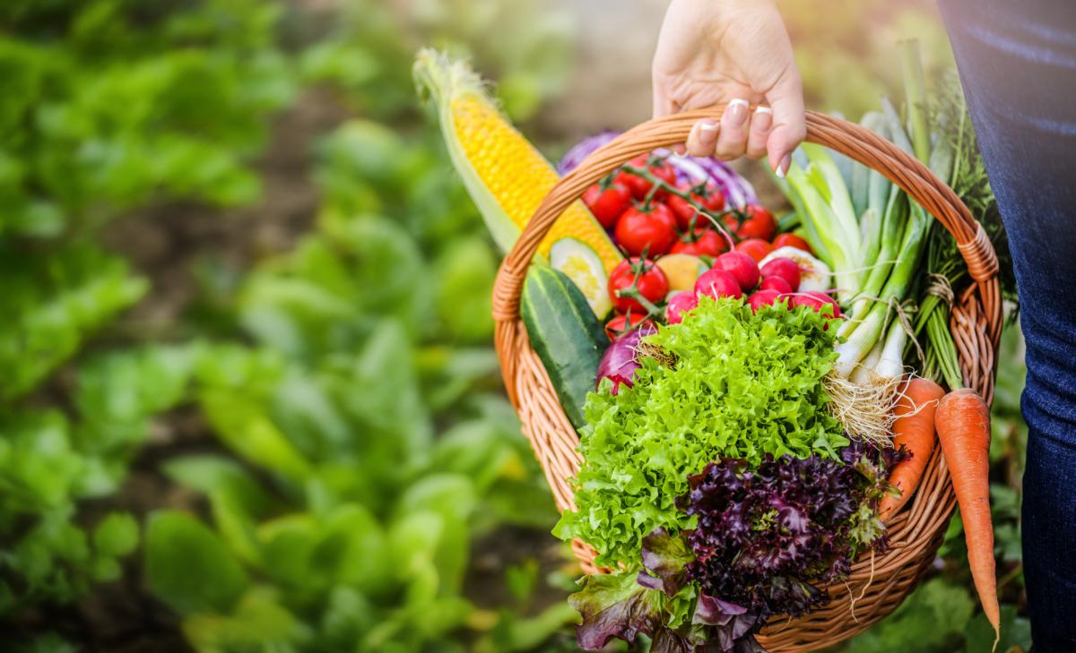 Summer offers a wide variety of brightly colored fruits and vegetables to create beautiful, nutritious meals. (Krasula/Shutterstock)