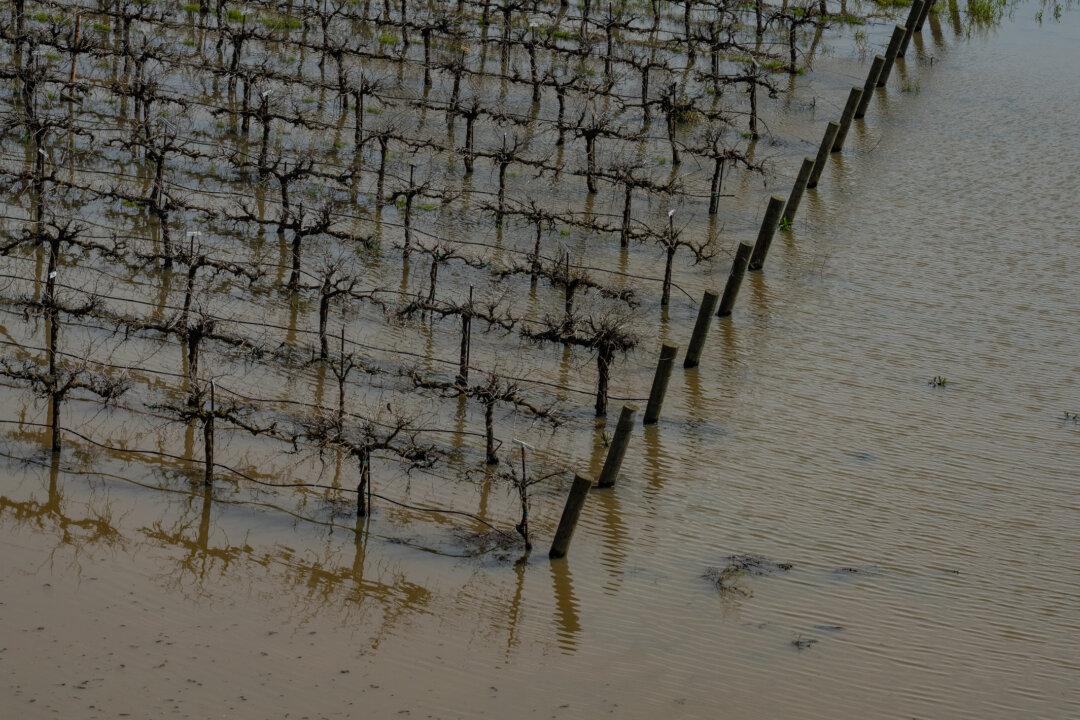 California Governor Signs Executive Order to Protect Levees, Prevent Flooding