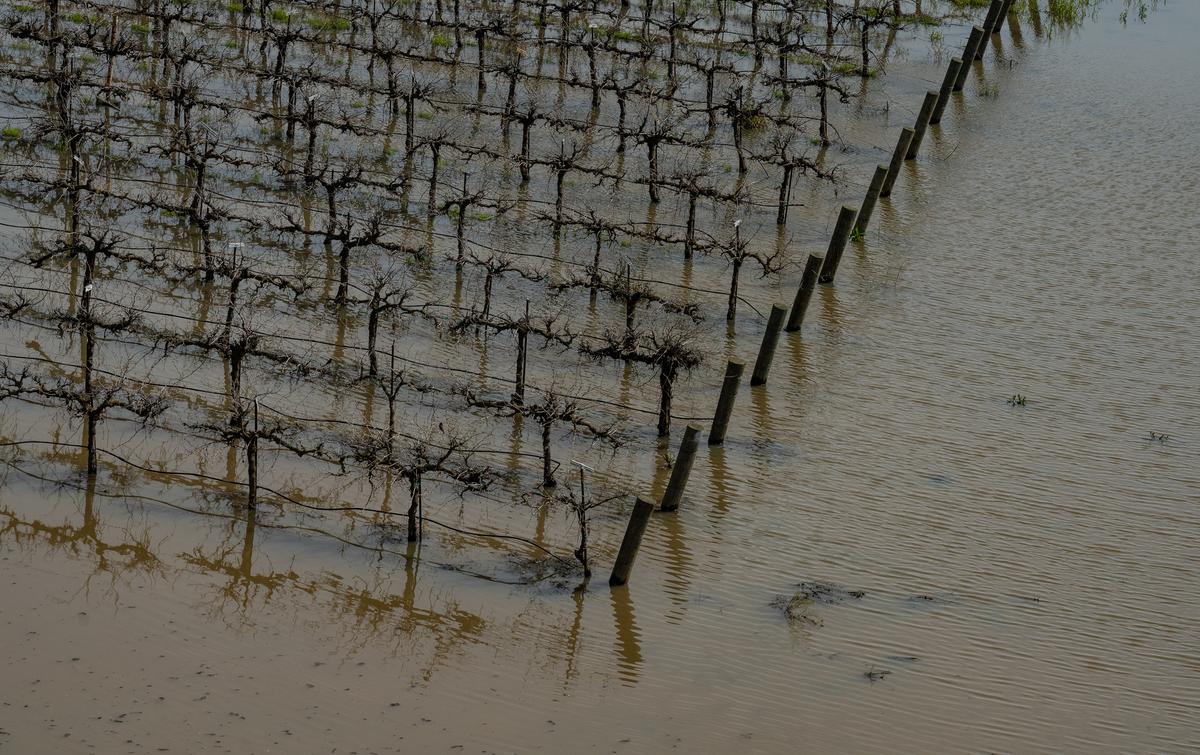 California Governor Signs Executive Order to Protect Levees, Prevent Flooding