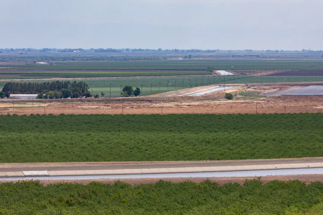 US Takes a Stand on Agricultural Security to Counter CCP Threat