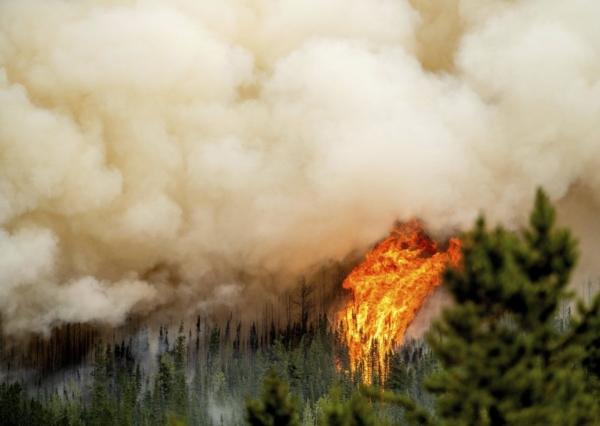 Flames from the Donnie Creek wildfire burn along a ridge top north of Fort St. John, British Columbia, Canada, on July 2, 2023. (The Canadian Press/AP/Noah Berger)