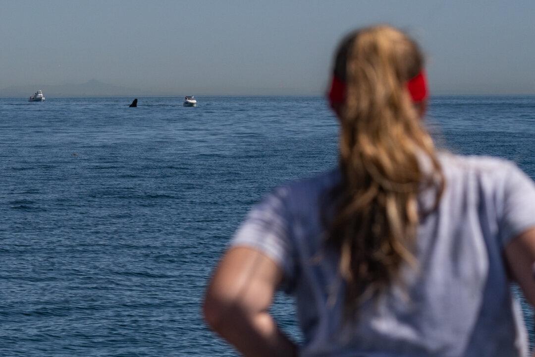 Heat Wave Headed to California This Week