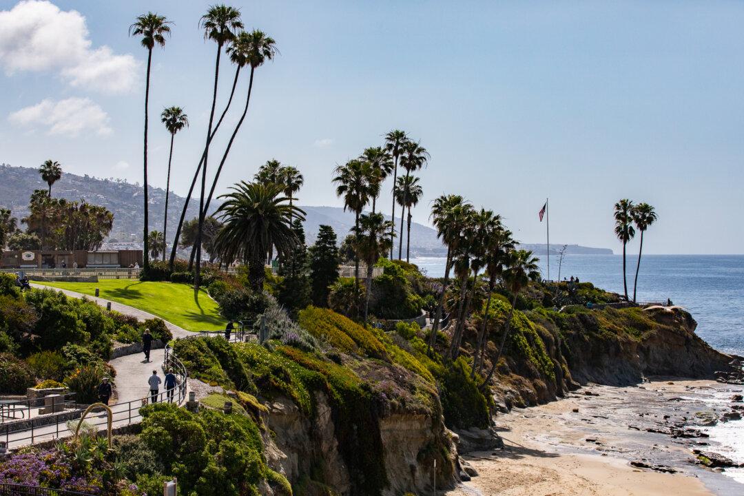 Still Much to Be Thankful for in California in 2023