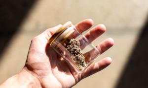 Laguna Woods Inches Toward Potential Marijuana Legalization