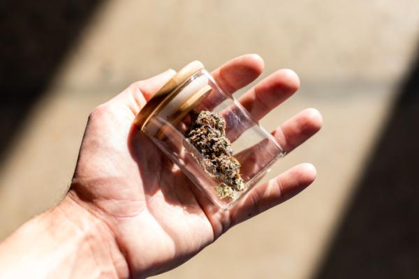 Cannabis samples are seen in Santa Ana, Calif., on Feb. 18, 2021. (John Fredricks/The Epoch Times)