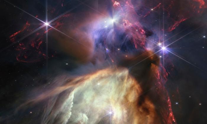 Webb Space Telescope Reveals Moment of Stellar Birth, Dramatic Close-Up of 50 Baby Stars