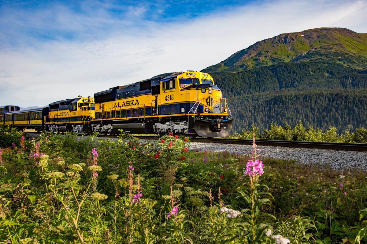 Piercing Through Alaska’s Wilderness by Train