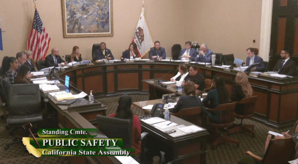 California State Assembly Public Safety Committee hearing in Sacramento on July 11, 2023. (California State Assembly/Screenshot via The Epoch Times)