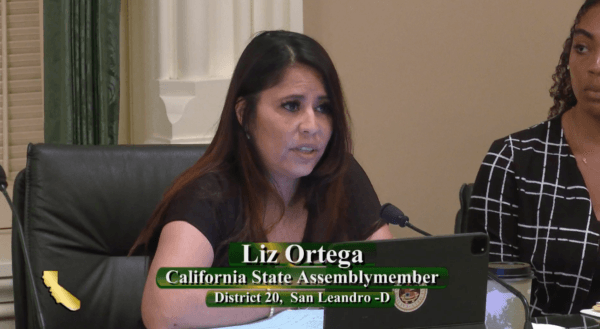 Assemblywoman Liz Ortega, D-Hayward, speaks during a committee hearing in Sacramento on July 11, 2023. (California State Assembly/Screenshot via The Epoch Times)