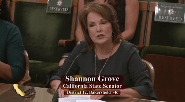 Sen. Shannon Grove, R-Bakersfield, speaks during a committee hearing in Sacramento on July 11, 2023. (California State Assembly/Screenshot via The Epoch Times)