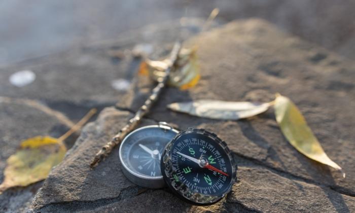 Without a Compass to Guide Them, Gen Z Wanders in the Wilderness