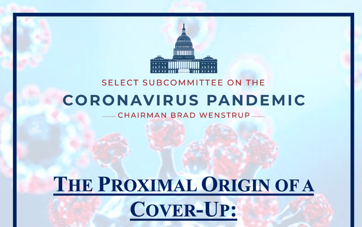 A screenshot of the pdf of a report published by the Select Subcommittee on the Coronavirus Pandemic on July 11. (Screenshot/The Epoch Times)