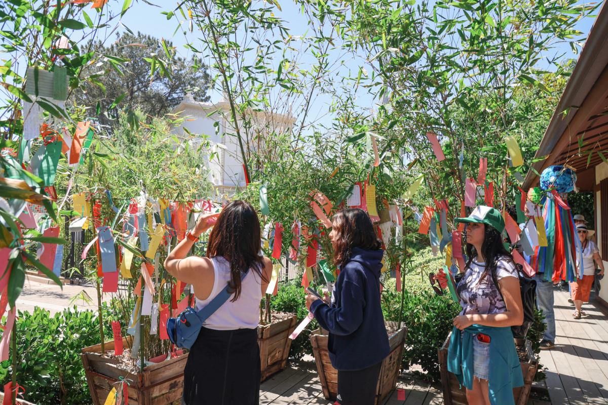 Guests of the Tanabata Festival in the Balboa Park Japanese Friendship Garden hang Tanzakus, wishes written on ribbons, from bamboo trees in San Diego, Calif., on July 7, 2023. (Julianne Foster/The Epoch Times)