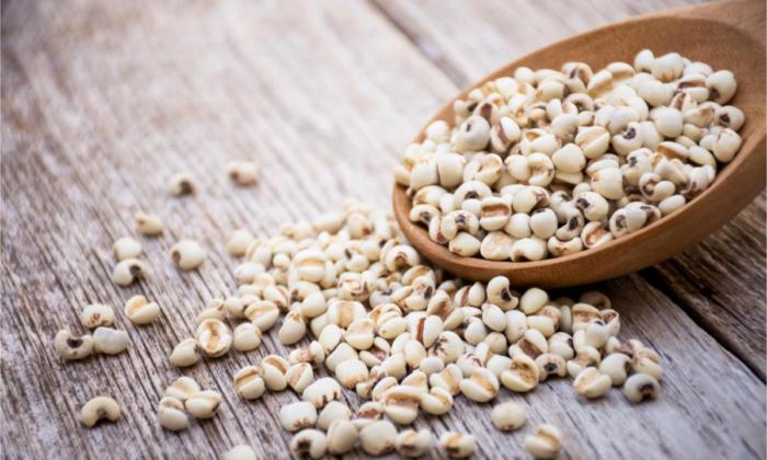 Pearl Barley’s Miraculous Medicinal Effects: Relieves Muscle Tension, Helps Prevent Cancer