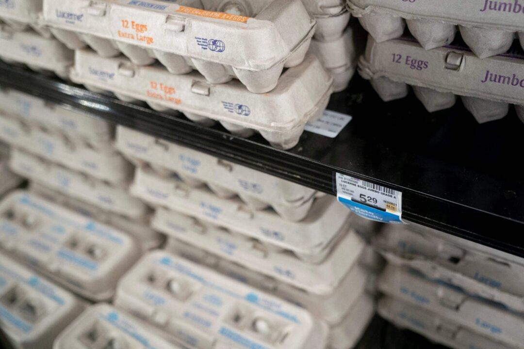Australian States Reach Agreement on Caged Eggs Ban, Sparking Price Hike Concerns