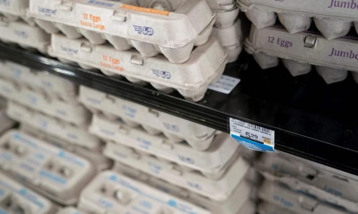 Australian States Reach Agreement on Caged Eggs Ban, Sparking Price Hike Concerns
