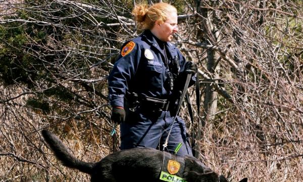 A Suffolk County police officer and dog search for human remains in the Gilgo Beach area on New York's Long Island on March 29, 2011. (Jim Staubitser/Newsday via AP)