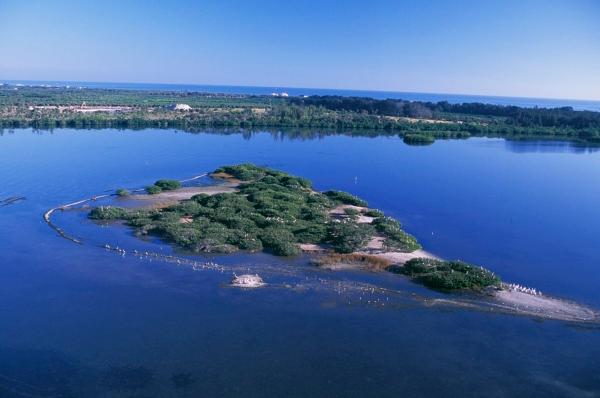 Pelican Island National Wildlife Refuge, 2009. (George Gentry/U.S. Fish & Wildlife Service). (Public Domain)