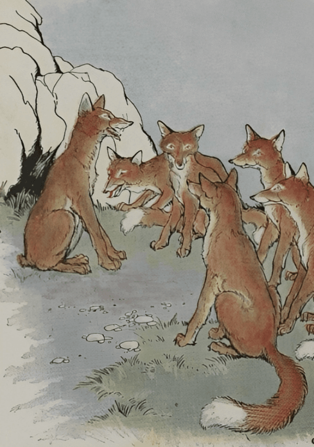 “The Fox Without a Tail,” illustrated by Milo Winter, from “The Aesop for Children,” 1919. (PD-US)