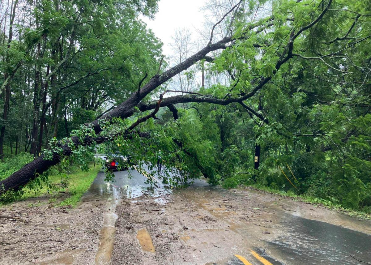 Flooding and a partially fallen tree along Swayze Mill Road in Hope, N.J., on July 16, 2023. (Courtesy of JCP&L via AP)