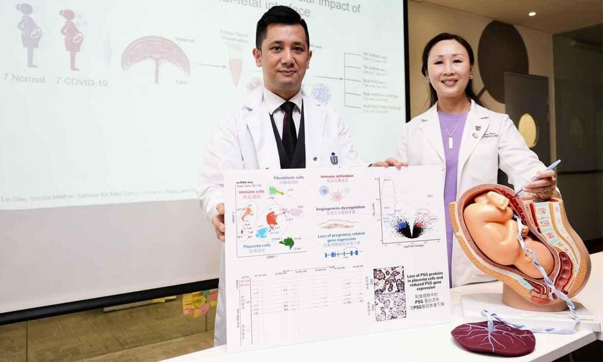 HKUST and CUHK Study: Infection With COVID-19 May Cause Complications in Late Pregnancy