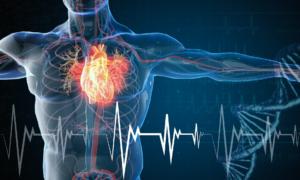 Cardiac Arrests ‘Highest Ever Recorded’ in Australian State of Victoria