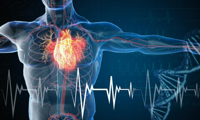 Cardiac Arrests 'Highest Ever Recorded' in Australian State of Victoria