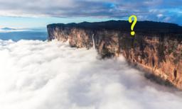 The Lost World: This Cloud-Shrouded Oldest Mountain in the World Has Wildlife You Can Only Find Here