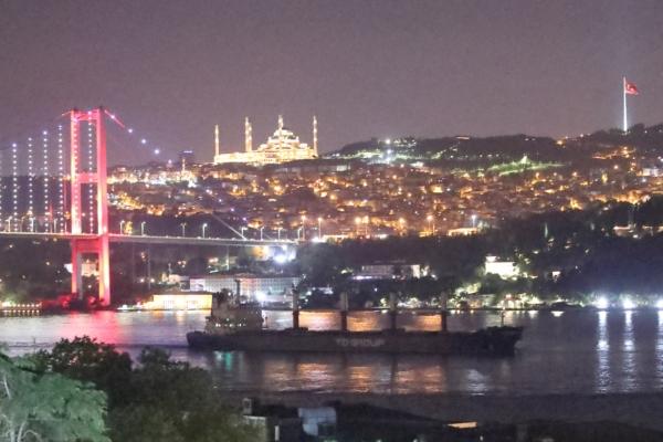 Turkish-flagged bulker TQ Samsun, carrying grain under UN's Black Sea Grain Initiative, transits Bosphorus in Istanbul on July 18, 2023. (Murad Sezer/Reuters)
