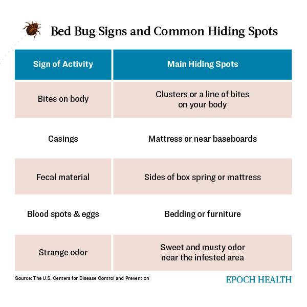 Where to look for bed bugs if you suspect an infestation. (The Epoch Times)