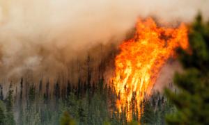 Helicopter Pilot Dies Fighting Alberta Forest Fire, Third Firefighter Death This Month
