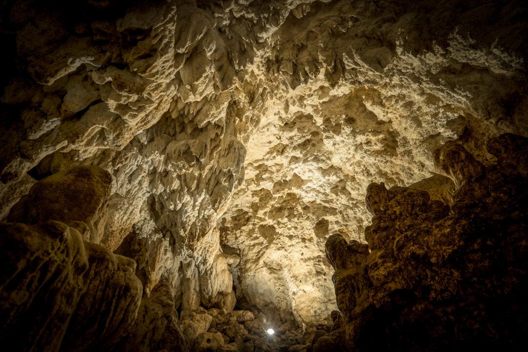 Evidence of Little People Found Throughout the World, But Are They Real?