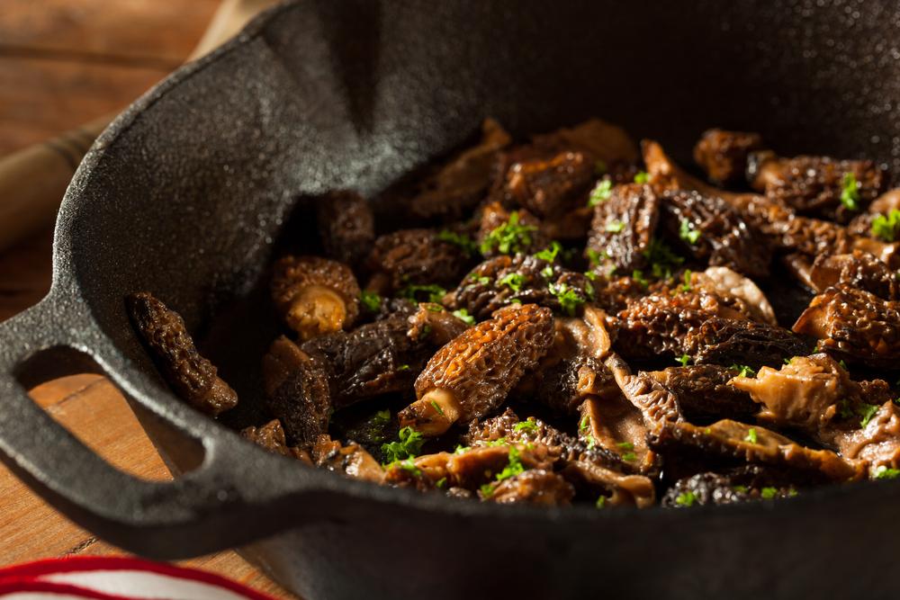 Morels have a rich, woodsy flavor and can hold so much sauce in their nooks and crannies. (Brent Hofacker/Shutterstock)
