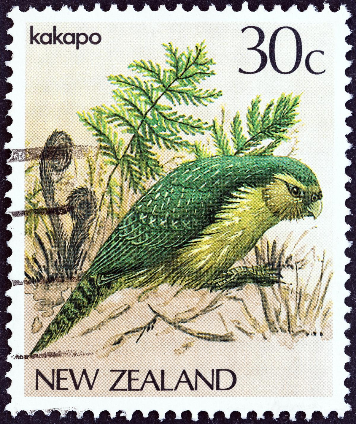 A stamp printed in New Zealand from the "Native Birds" issue shows the kakapo, circa 1982. (Lefteris Papaulakis/Shutterstock)