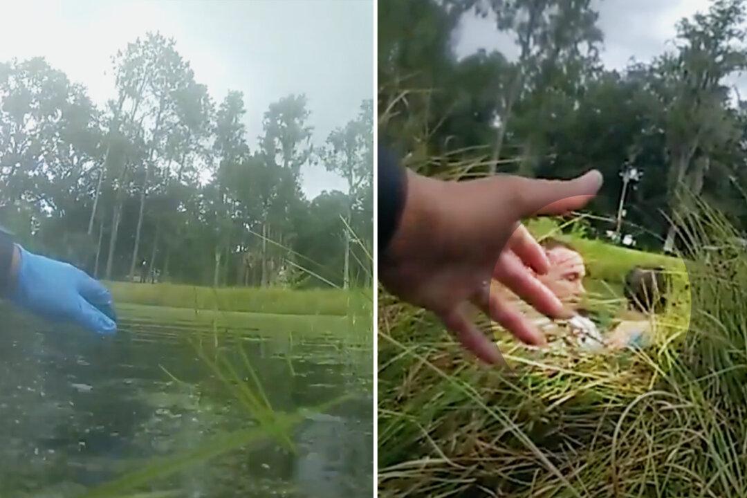 Florida Deputies Rescue Nonverbal Child With Autism From Snake-Infested Pond: Video