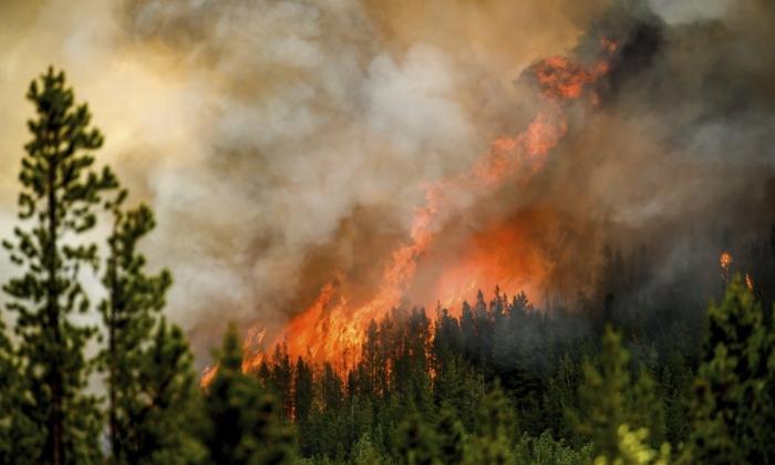 BC Crews Hopeful of Forecasted Heavy Rain Dampening Massive Donnie Creek Wildfire