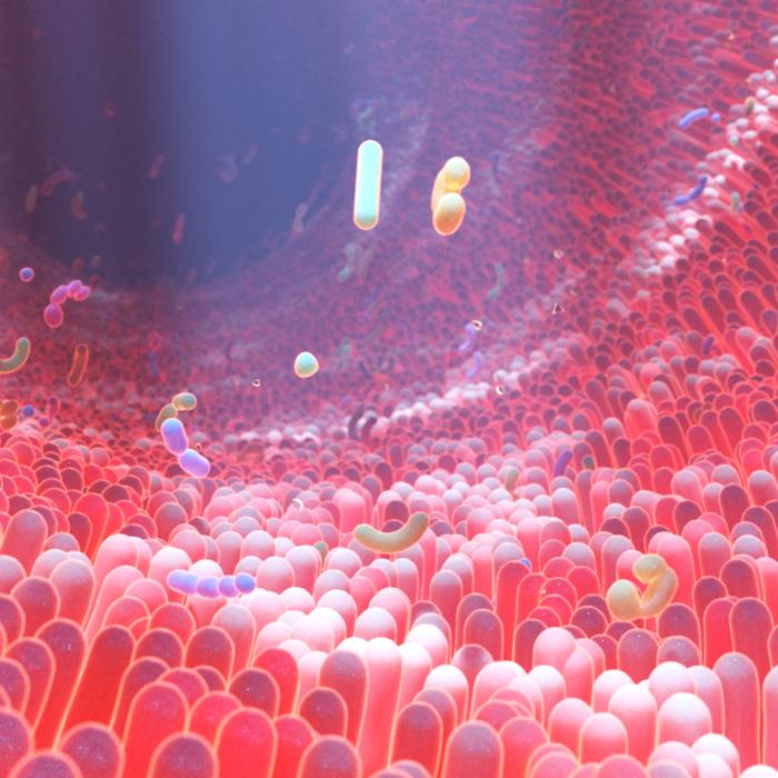 The Epoch Times