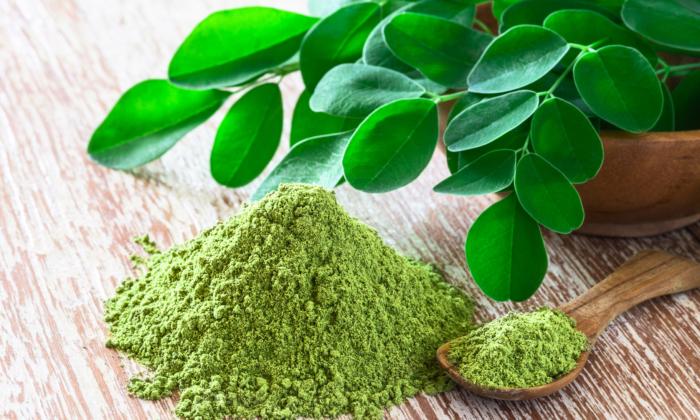 Moringa: What Can This 'Wonder Plant' Do for You?