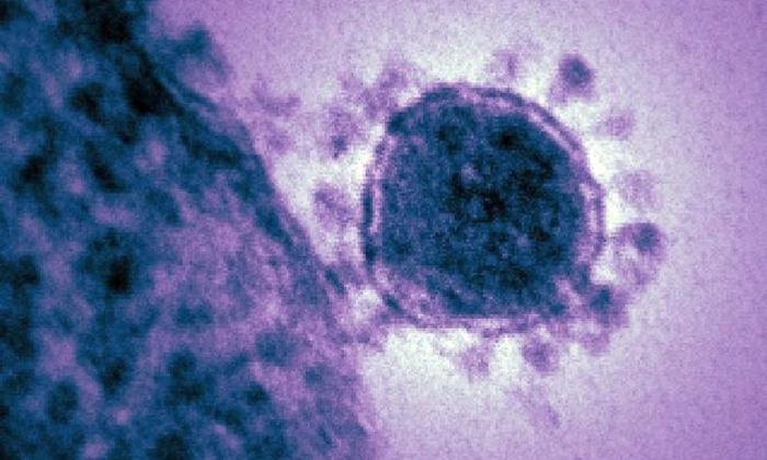 New Potentially Deadly MERS-CoV Case Reported as WHO Continues to Monitor Situation