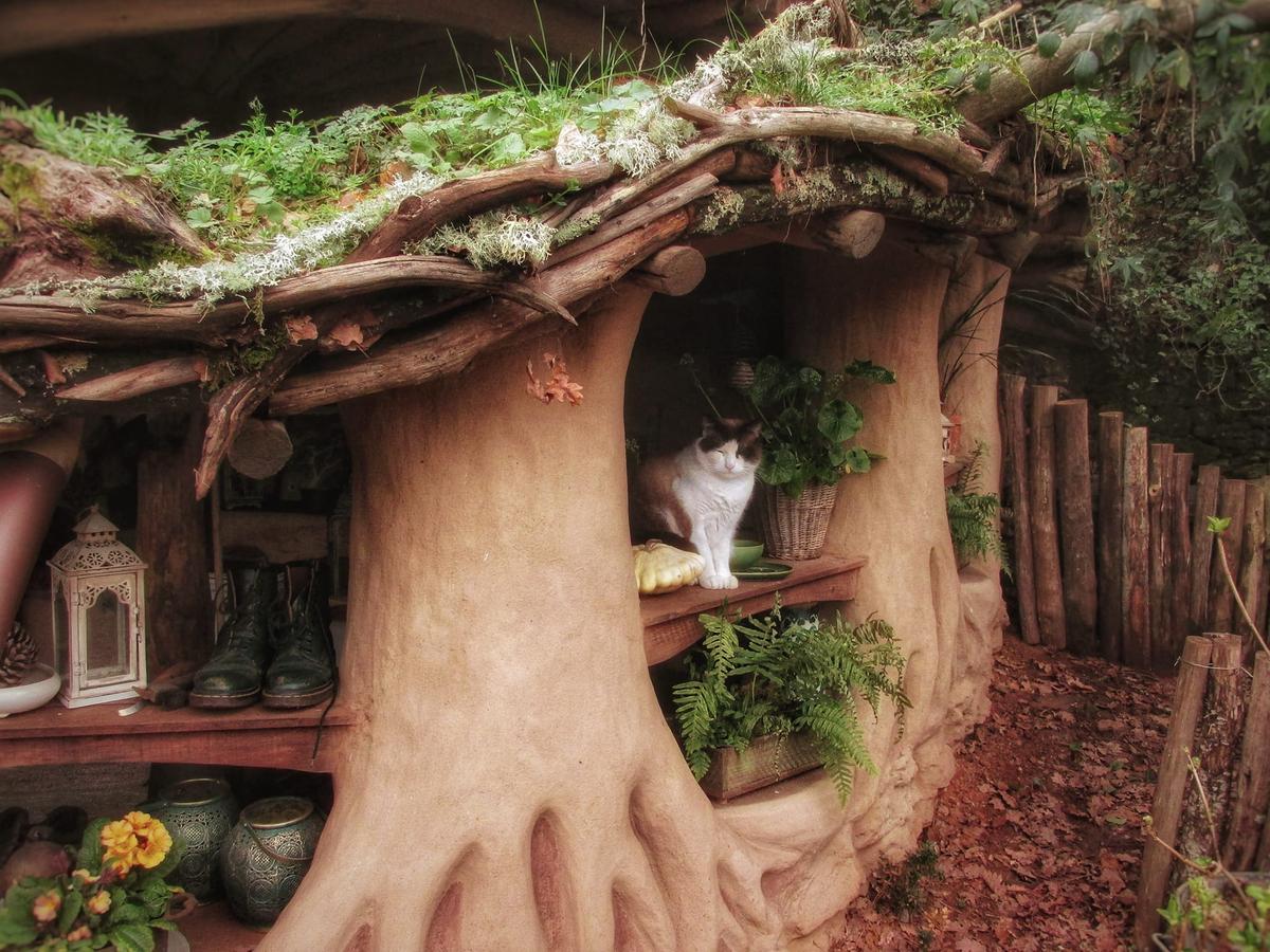 Katherine W.'s cat rests in the cool of the porch outside her and her husband's "hobbit home." (Courtesy of <a href="https://www.facebook.com/katherinewyvern">Katherine Wyvern</a>)