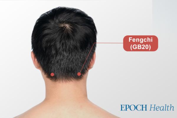 Hair-nourishing acupoint on the scalp, Fengchi (GB 20). (The Epoch Times)