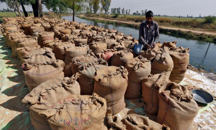IMF Warns India’s Rice Export Ban Could Worsen Food Price Inflation