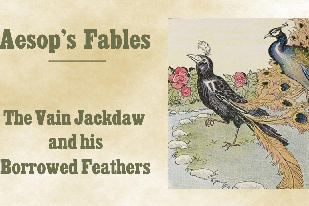 Don’t Pretend to Be What You’re Not: Borrowed Feathers Do Not Make Fine Birds