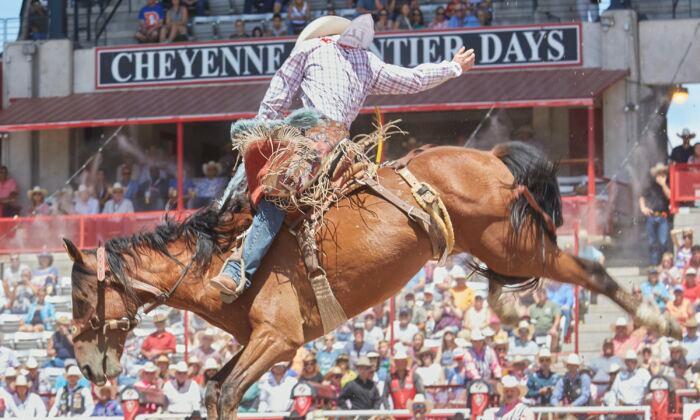 Taking the Kids: To the World’s Biggest Outdoor Rodeo and Western Celebration